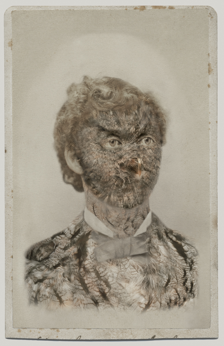 Manipulated photograph which combines the features of a Victorian man and a Western Screech Owl