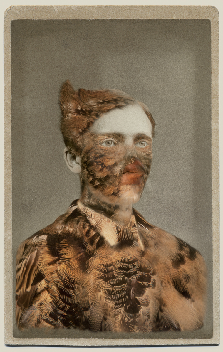 Manipulated photograph which combines the features of a Victorian woman and a Winter Bobolink
